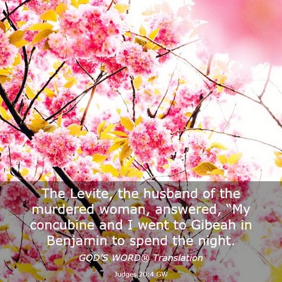 Picture 03 - Judges 20:4 GW - The Levite, the husband of the murdered woman, - Bible Verse Picture