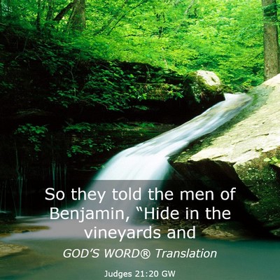 Picture 03 - Judges 21:20 GW - So they told the men of Benjamin, “Hide in the - Bible Verse Picture