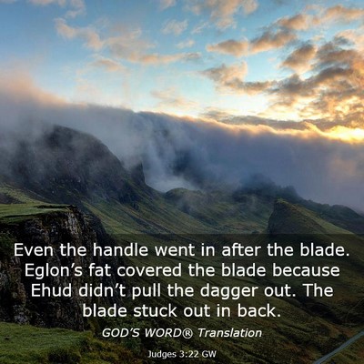 Picture 03 - Judges 3:22 GW - Even the handle went in after the blade. - Bible Verse Picture