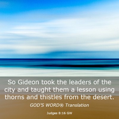Picture 03 - Judges 8:16 GW - So Gideon took the leaders of the city and taught - Bible Verse Picture