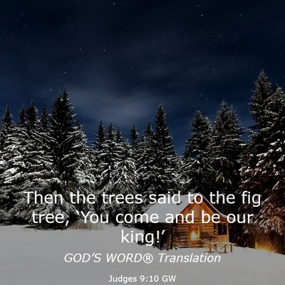 Picture 03 - Judges 9:10 GW - Then the trees said to the fig tree, ‘You come - Bible Verse Picture
