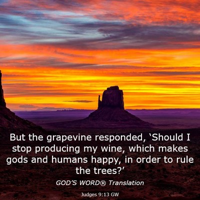 Picture 03 - Judges 9:13 GW - But the grapevine responded, ‘Should I stop - Bible Verse Picture