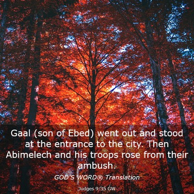 Picture 03 - Judges 9:35 GW - Gaal (son of Ebed) went out and stood at the - Bible Verse Picture