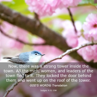 Picture 03 - Judges 9:51 GW - Now, there was a strong tower inside the town. - Bible Verse Picture