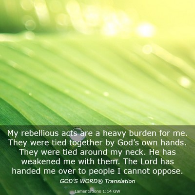 Picture 03 - Lamentations 1:14 GW - My rebellious acts are a heavy burden for me. - Bible Verse Picture