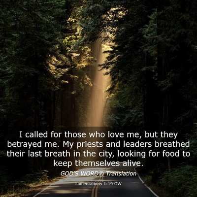 Picture 03 - Lamentations 1:19 GW - I called for those who love me, but they betrayed - Bible Verse Picture