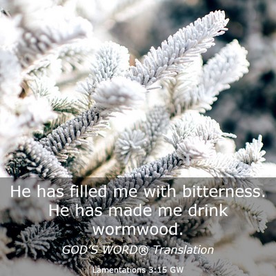 Picture 03 - Lamentations 3:15 GW - He has filled me with bitterness. He has made me - Bible Verse Picture