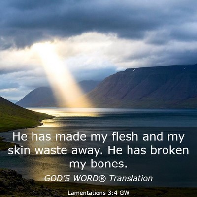 Picture 03 - Lamentations 3:4 GW - He has made my flesh and my skin waste away. He - Bible Verse Picture