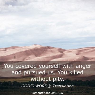 Picture 03 - Lamentations 3:43 GW - You covered yourself with anger and pursued us. - Bible Verse Picture