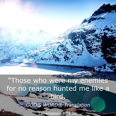 Picture 03 - Lamentations 3:52 GW - “Those who were my enemies for no reason hunted - Bible Verse Picture
