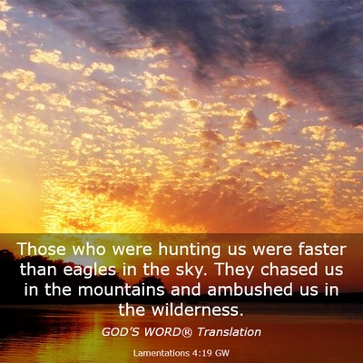 Picture 03 - Lamentations 4:19 GW - Those who were hunting us were faster than eagles - Bible Verse Picture