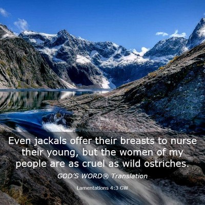 Picture 03 - Lamentations 4:3 GW - Even jackals offer their breasts to nurse their - Bible Verse Picture