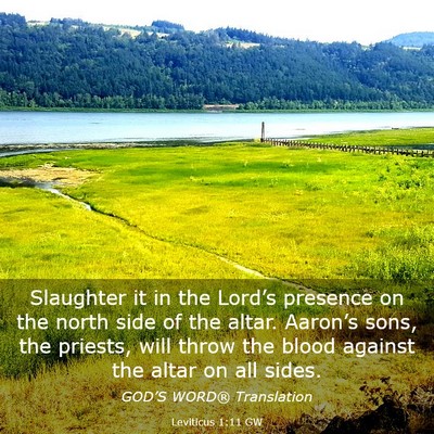 Picture 03 - Leviticus 1:11 GW - Slaughter it in the Lord’s presence on the - Bible Verse Picture