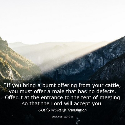 Picture 03 - Leviticus 1:3 GW - “If you bring a burnt offering from your - Bible Verse Picture