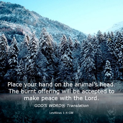 Picture 03 - Leviticus 1:4 GW - Place your hand on the animal’s head. The burnt - Bible Verse Picture