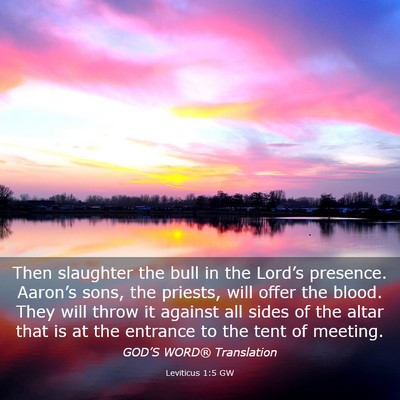 Picture 03 - Leviticus 1:5 GW - Then slaughter the bull in the Lord’s presence. - Bible Verse Picture