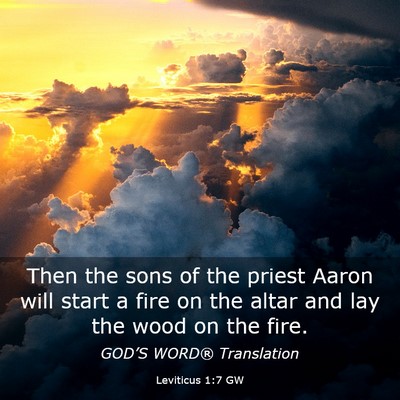 Picture 03 - Leviticus 1:7 GW - Then the sons of the priest Aaron will start a - Bible Verse Picture