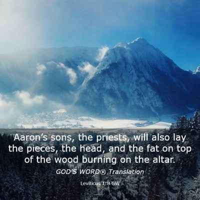 Picture 03 - Leviticus 1:8 GW - Aaron’s sons, the priests, will also lay the - Bible Verse Picture