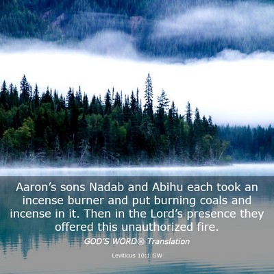 Picture 03 - Leviticus 10:1 GW - Aaron’s sons Nadab and Abihu each took an - Bible Verse Picture