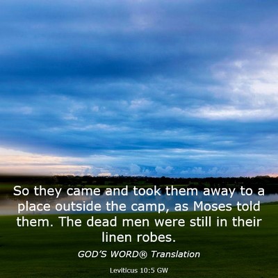 Picture 03 - Leviticus 10:5 GW - So they came and took them away to a place - Bible Verse Picture