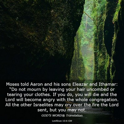 Picture 03 - Leviticus 10:6 GW - Moses told Aaron and his sons Eleazar and - Bible Verse Picture