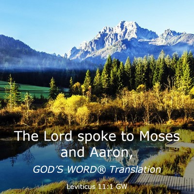 Picture 03 - Leviticus 11:1 GW - The Lord spoke to Moses and - Bible Verse Picture