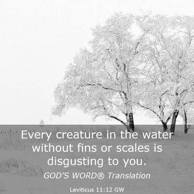 Picture 03 - Leviticus 11:12 GW - Every creature in the water without fins or - Bible Verse Picture