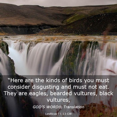 Picture 03 - Leviticus 11:13 GW - “Here are the kinds of birds you must consider - Bible Verse Picture