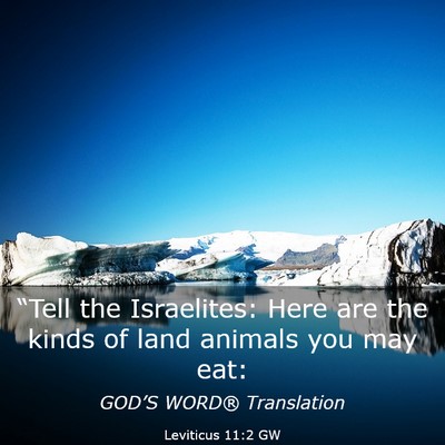 Picture 03 - Leviticus 11:2 GW - “Tell the Israelites: Here are the kinds of - Bible Verse Picture