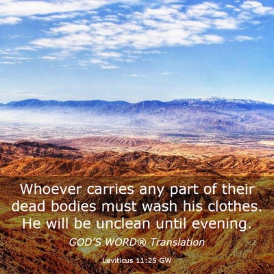 Picture 03 - Leviticus 11:25 GW - Whoever carries any part of their dead bodies - Bible Verse Picture