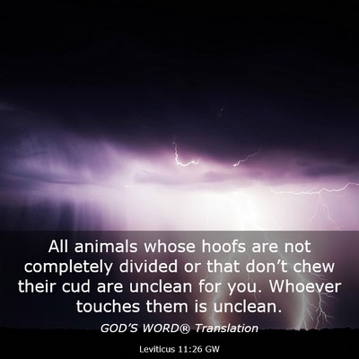 Picture 03 - Leviticus 11:26 GW - All animals whose hoofs are not completely - Bible Verse Picture