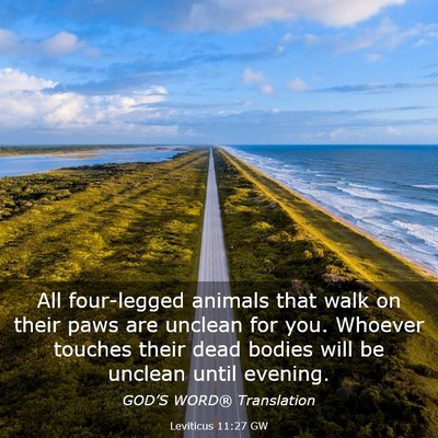 Picture 03 - Leviticus 11:27 GW - All four-legged animals that walk on their paws - Bible Verse Picture