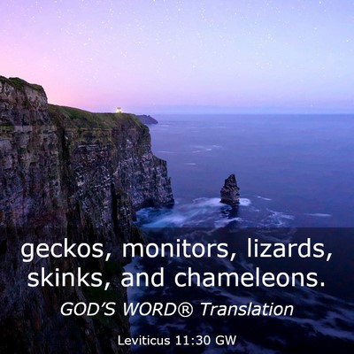Picture 03 - Leviticus 11:30 GW - geckos, monitors, lizards, skinks, and - Bible Verse Picture