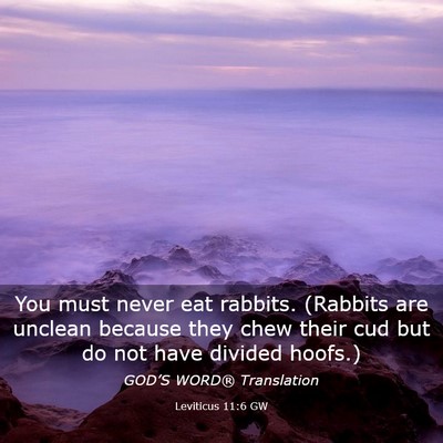 Picture 03 - Leviticus 11:6 GW - You must never eat rabbits. (Rabbits are unclean - Bible Verse Picture
