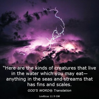Picture 03 - Leviticus 11:9 GW - “Here are the kinds of creatures that live in - Bible Verse Picture