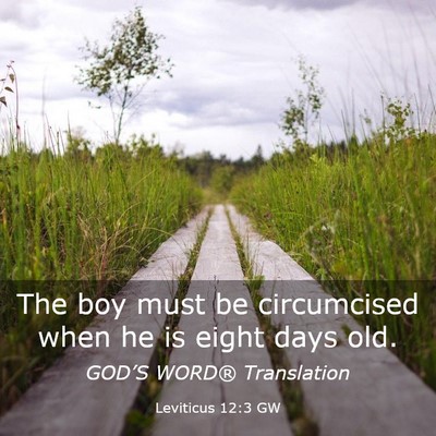 Picture 03 - Leviticus 12:3 GW - The boy must be circumcised when he is eight days - Bible Verse Picture