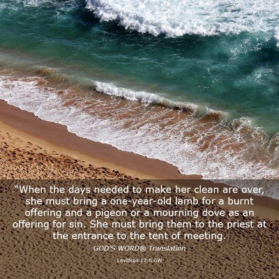 Picture 03 - Leviticus 12:6 GW - “When the days needed to make her clean are - Bible Verse Picture