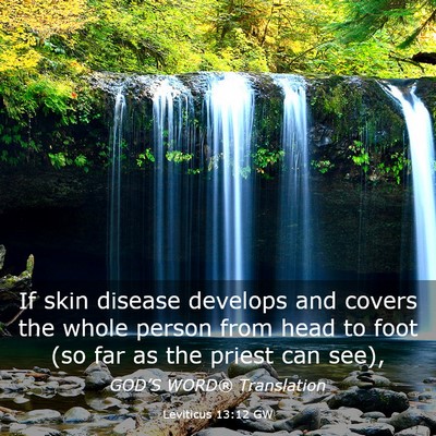 Picture 03 - Leviticus 13:12 GW - If skin disease develops and covers the whole - Bible Verse Picture