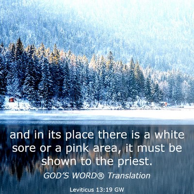 Picture 03 - Leviticus 13:19 GW - and in its place there is a white sore or a pink - Bible Verse Picture