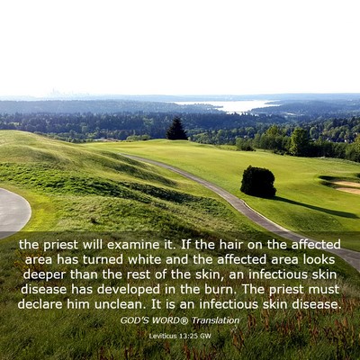 Picture 03 - Leviticus 13:25 GW - the priest will examine it. If the hair on the - Bible Verse Picture