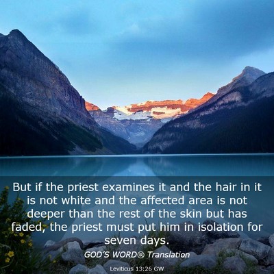 Picture 03 - Leviticus 13:26 GW - But if the priest examines it and the hair in it - Bible Verse Picture