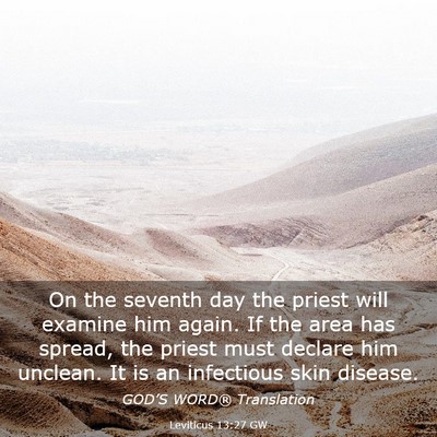 Picture 03 - Leviticus 13:27 GW - On the seventh day the priest will examine him - Bible Verse Picture
