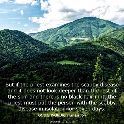 Picture 03 - Leviticus 13:31 GW - But if the priest examines the scabby disease and - Bible Verse Picture