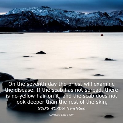 Picture 03 - Leviticus 13:32 GW - On the seventh day the priest will examine the - Bible Verse Picture