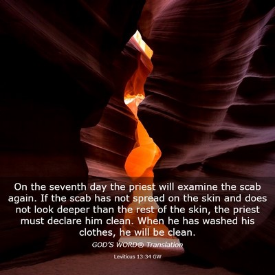 Picture 03 - Leviticus 13:34 GW - On the seventh day the priest will examine the - Bible Verse Picture