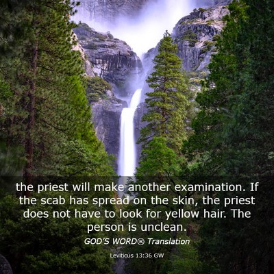 Picture 03 - Leviticus 13:36 GW - the priest will make another examination. If the - Bible Verse Picture