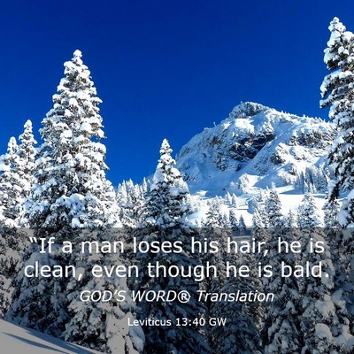 Picture 03 - Leviticus 13:40 GW - “If a man loses his hair, he is clean, even - Bible Verse Picture