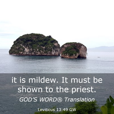 Picture 03 - Leviticus 13:49 GW - it is mildew. It must be shown to the - Bible Verse Picture