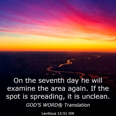 Picture 03 - Leviticus 13:51 GW - On the seventh day he will examine the area - Bible Verse Picture