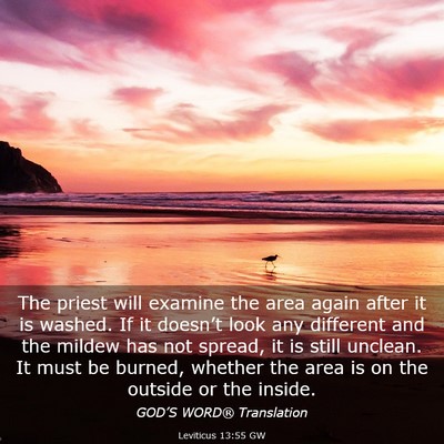 Picture 03 - Leviticus 13:55 GW - The priest will examine the area again after it - Bible Verse Picture